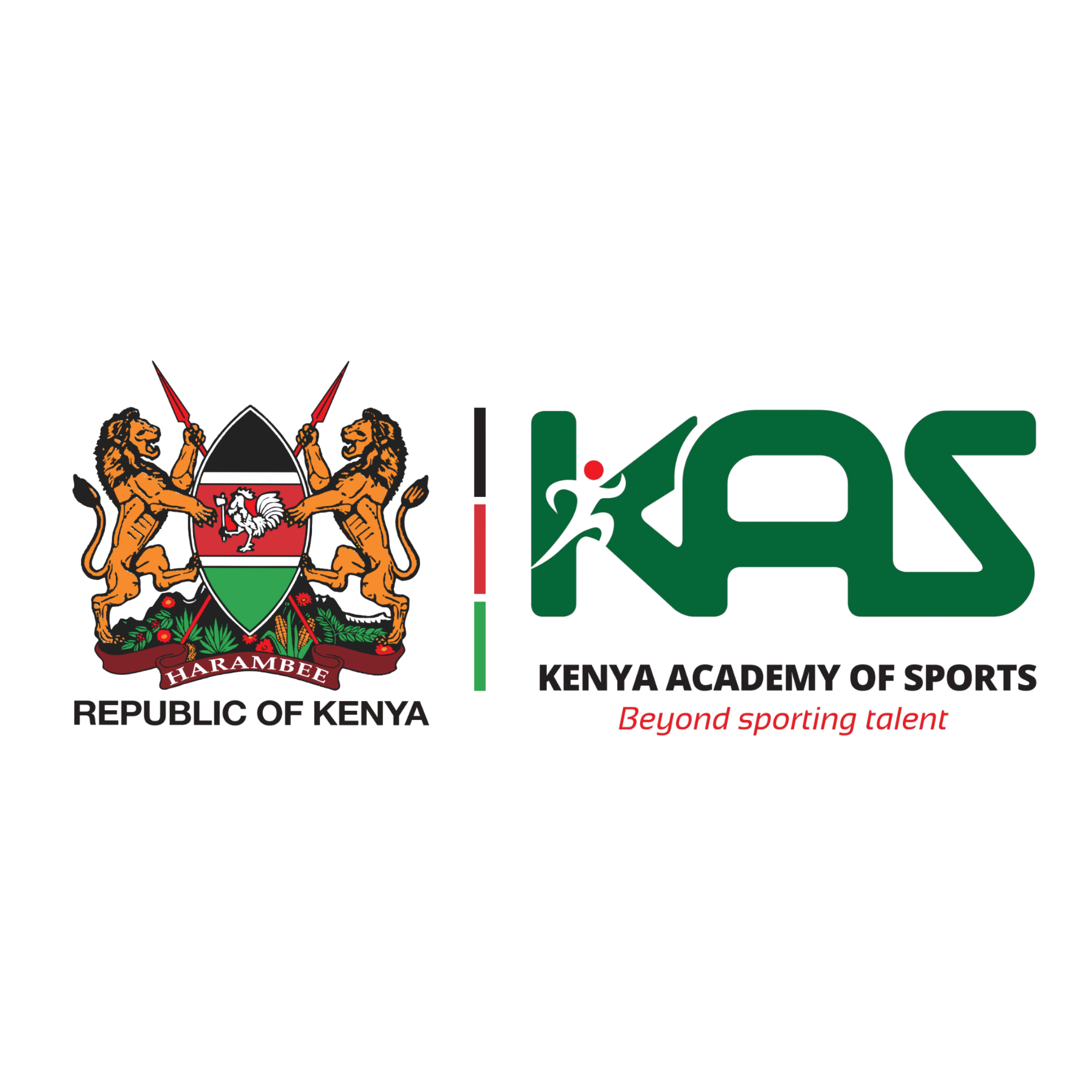Organisation logo 4