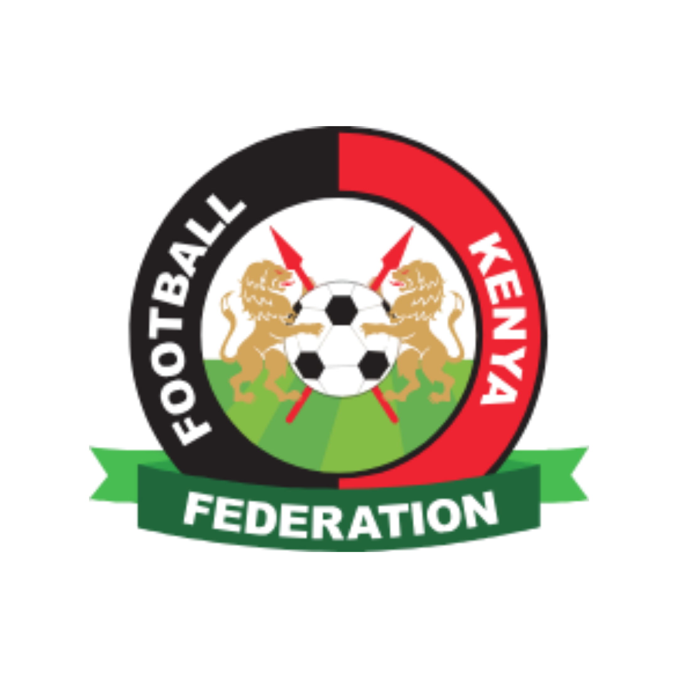 Organisation logo 4